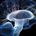 Открытие сети участков мозга, общих для 6 психиатрических заболеваний